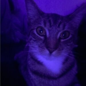 Meet your Posher, Tatianw